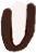 Left Leg