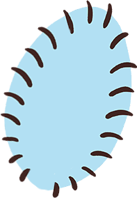 Tail