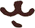 Mouth